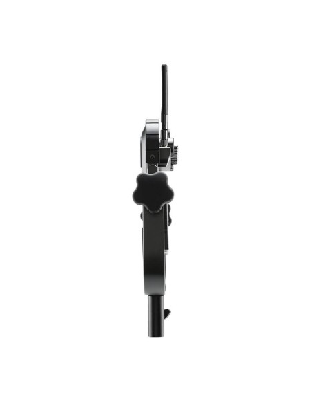 Antenna Array, Gold-Mount (Ranger 4K) - Teradek